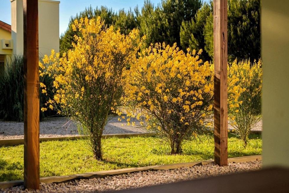 Вилла Cabanas De Las Pinturas Сьерра-де-ла-Вентана Экстерьер фото